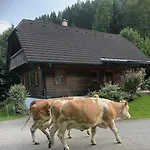 Naintschbauer Apartamento *