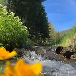 Naintschbauer