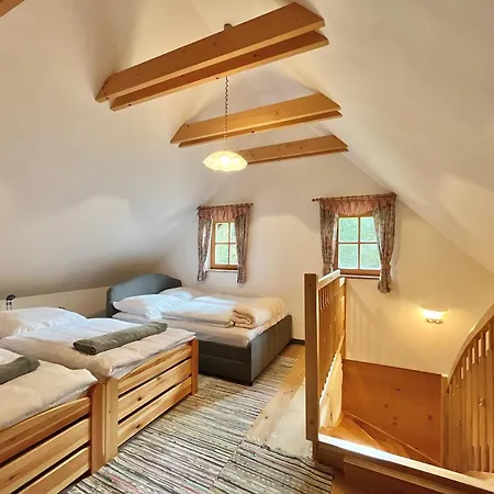 Naintschbauer 公寓 *