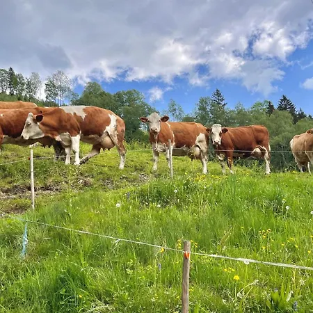 شقة Naintschbauer Anger (Weiz)