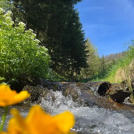 Naintschbauer