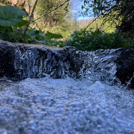 Lägenhet Naintschbauer Anger (Weiz)
