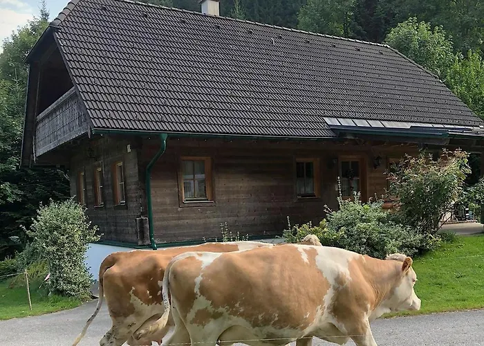 Naintschbauer شقة *