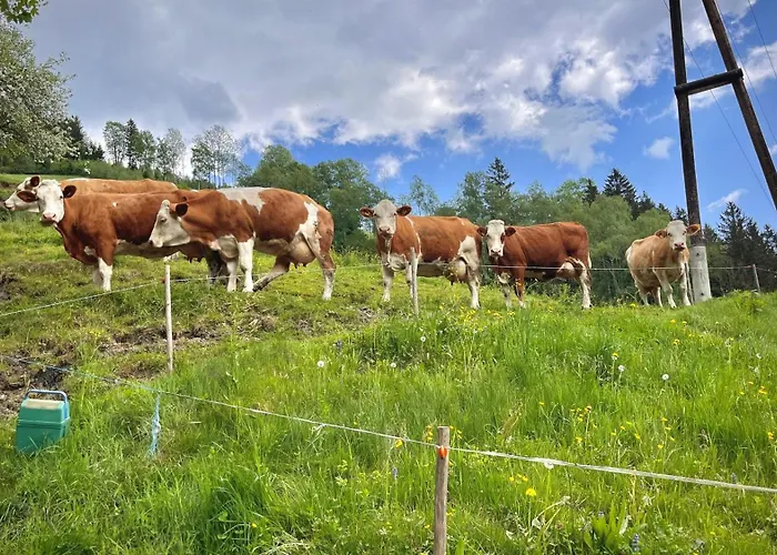 شقة Naintschbauer Anger (Weiz)